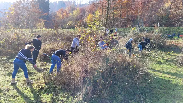 Gemeinsam im Einsatz: Schülerinnen und Schüler der FOSBOS Aschaffenburg arbeiten auf der Weide, um wertvolle Offenlandschaften zu erhalten. | Foto: Andreas Reble