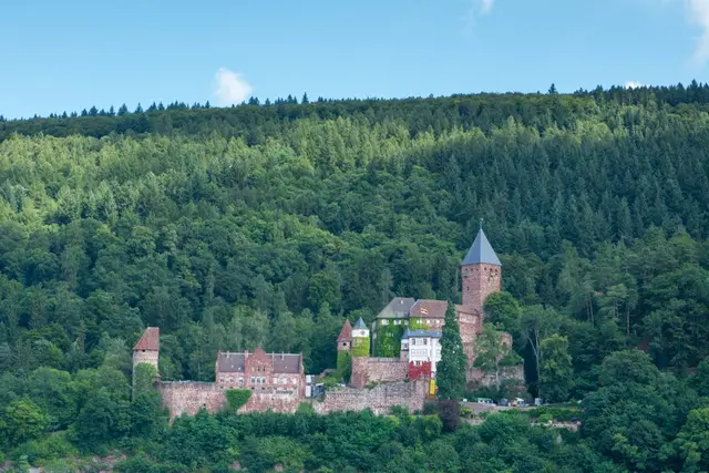 Schloss Zwingenberg am Neckar
 | Foto: Gemeinde Zwingenberg