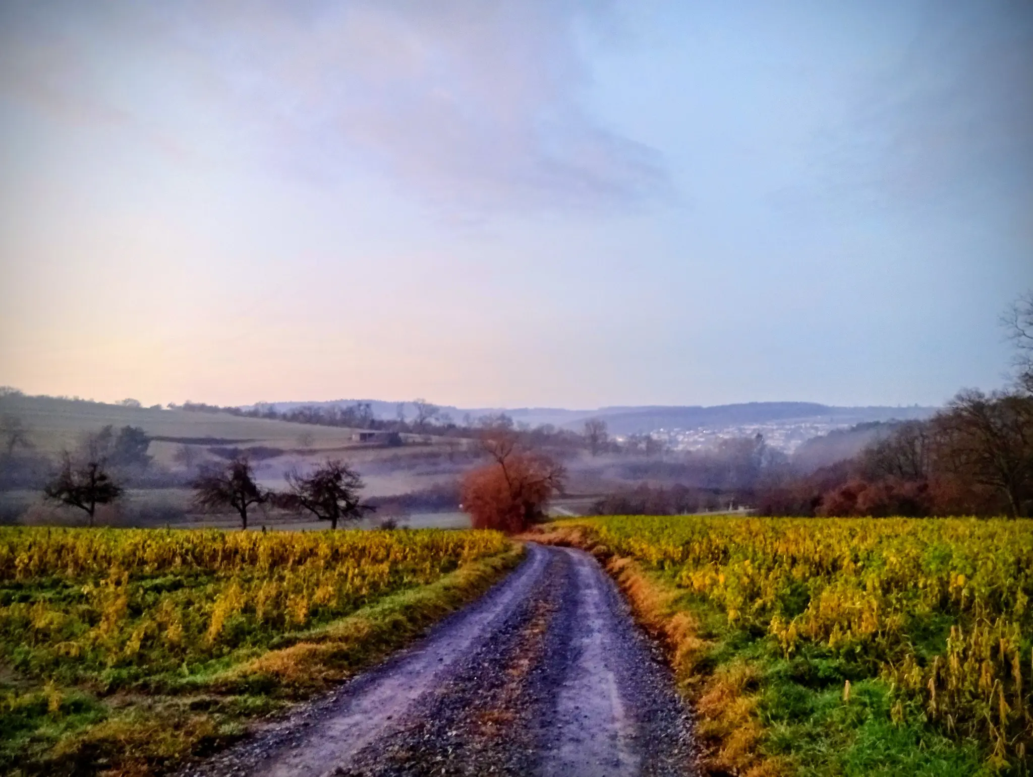 Sollte-Literatur-f-r-jeden-zug-nglich-sein-