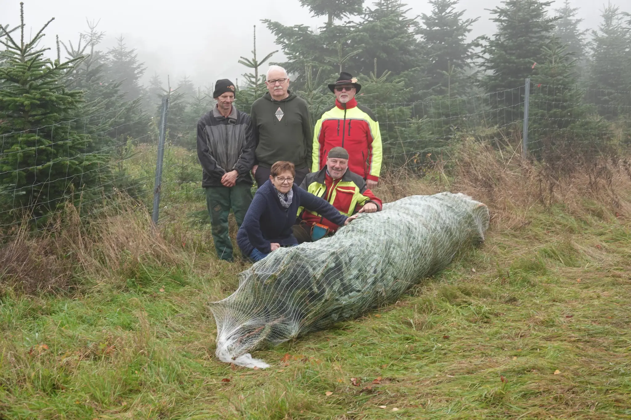 Mit-der-Nordmanntanne-aus-dem-Odenwald-zum-besinnlichen-Fest-