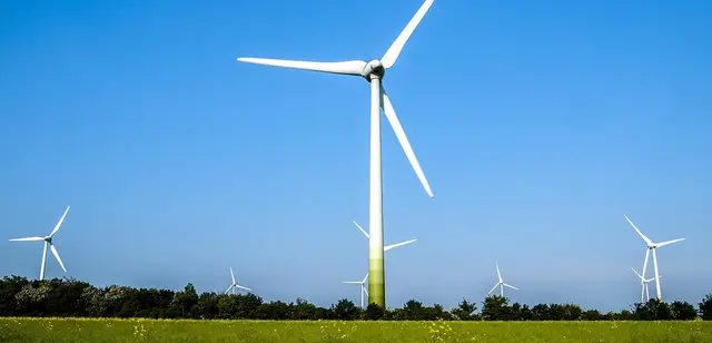 Foto: ©Pixabay-Kathy Büscher