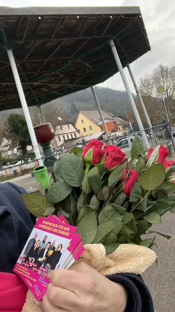 Foto: FDP Kreisverband Miltenberg