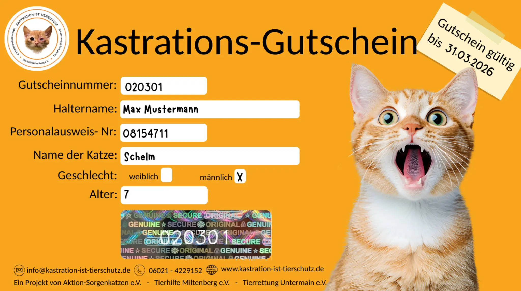 Kastrationsfonds-startet-im-Januar-jetzt-auch-f-r-Wohnungskatzen