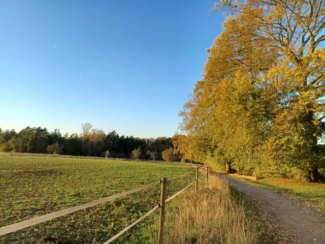 An der Pferdekoppel | Foto: Wolfgang Giegerich