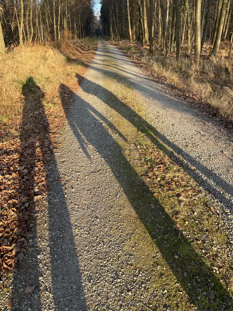 Unterwegs zwischen den Jahren.