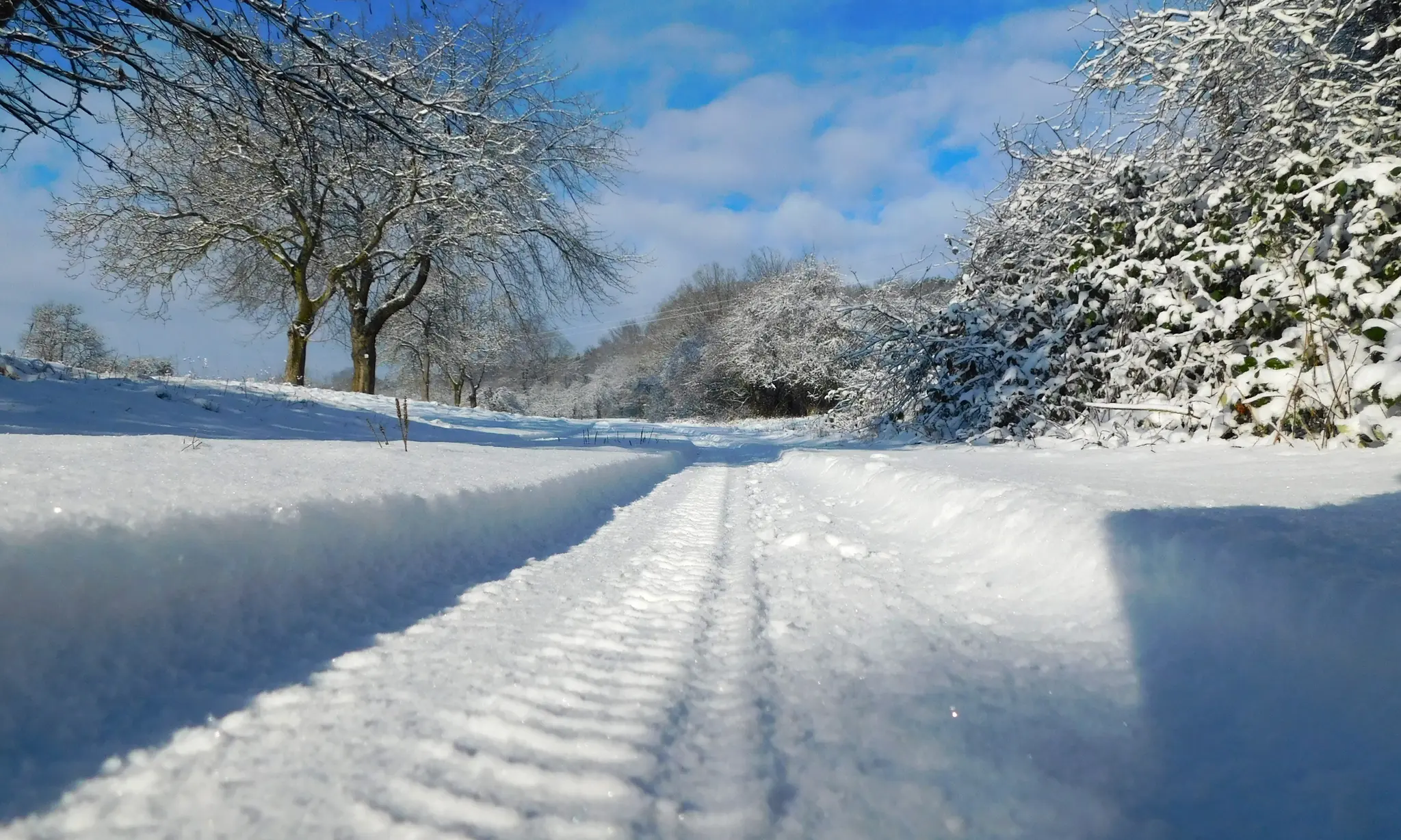 Was-jetzt-Kalt-oder-warm-