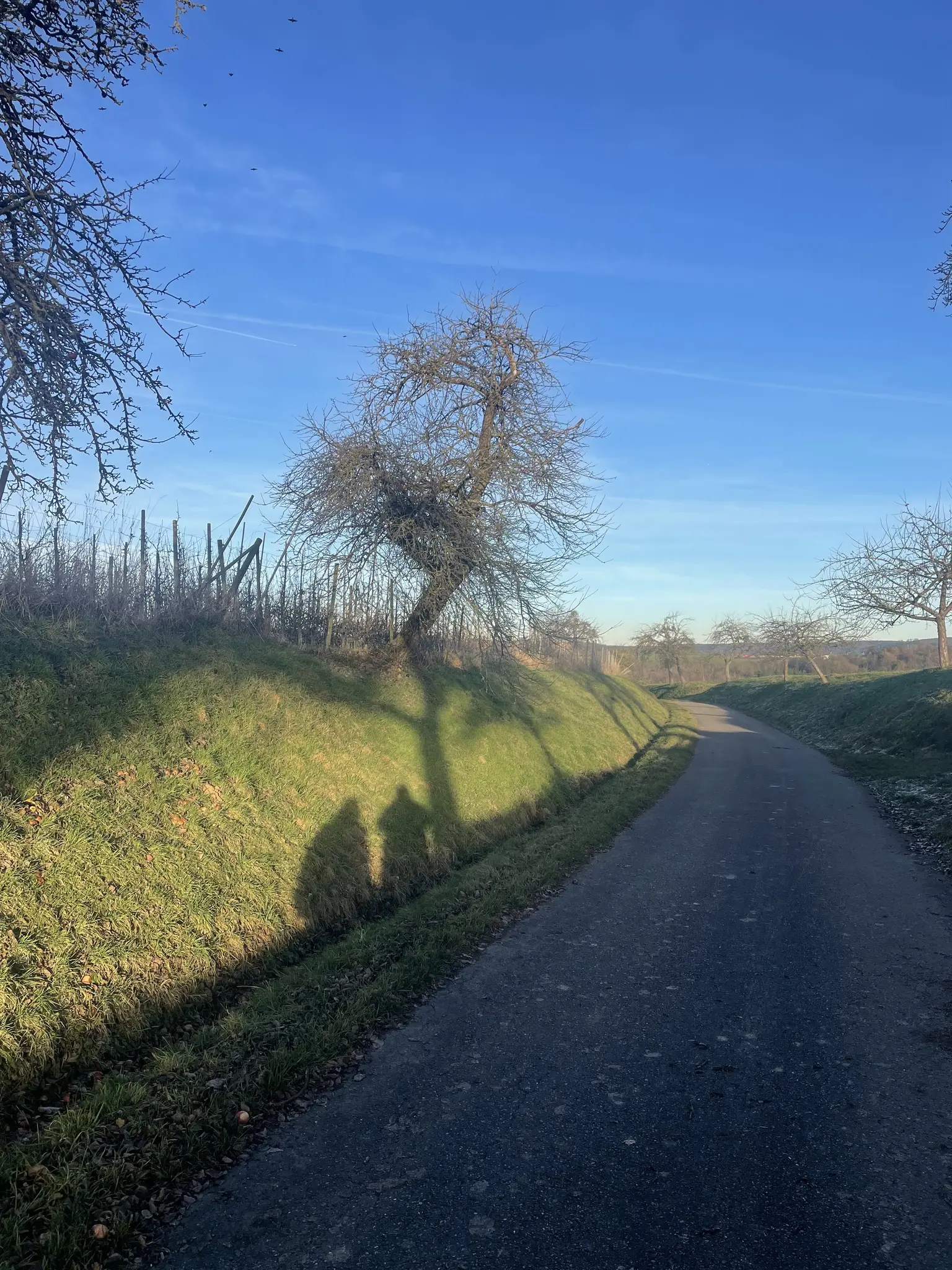 K-lte-Klarheit-Kippmoment-