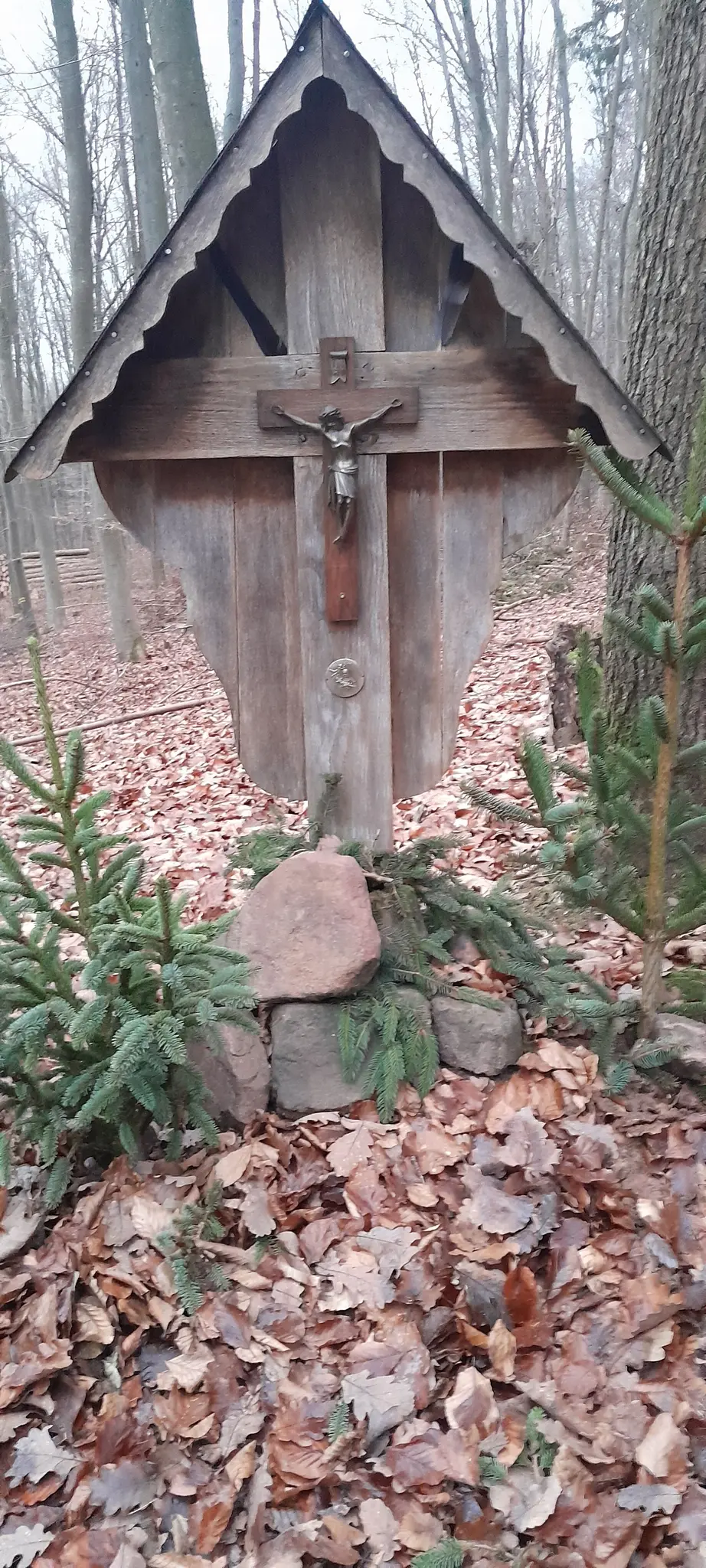 Mein-Kreuzweg-im-M-nchberger-Wald