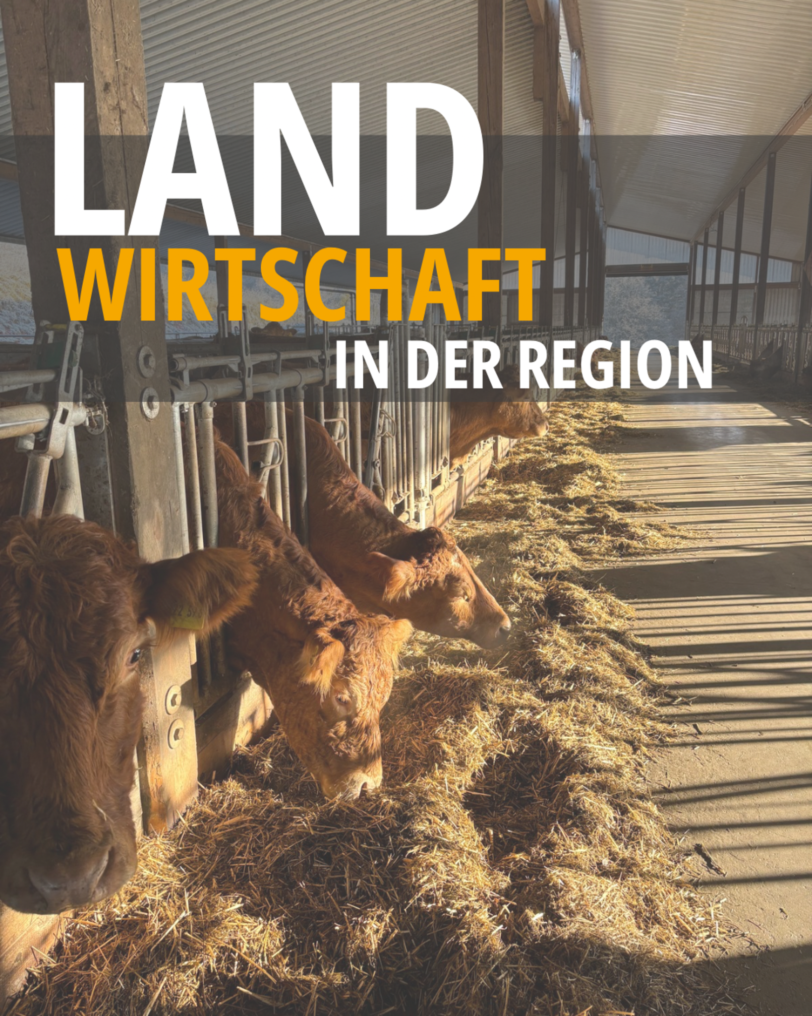 Freie-W-hler-besuchen-landwirtschaftliche-Betriebe-in-Kirchzell