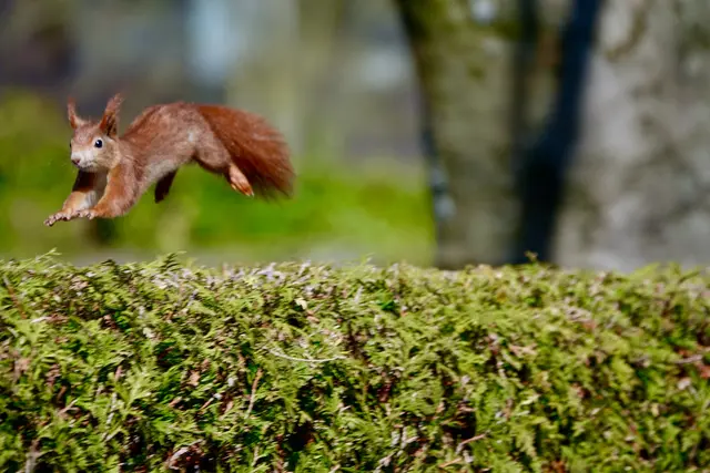 Mit Elan ins neue Jahr