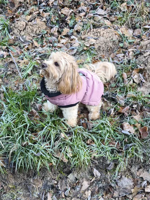 Natürlich mit dabei!