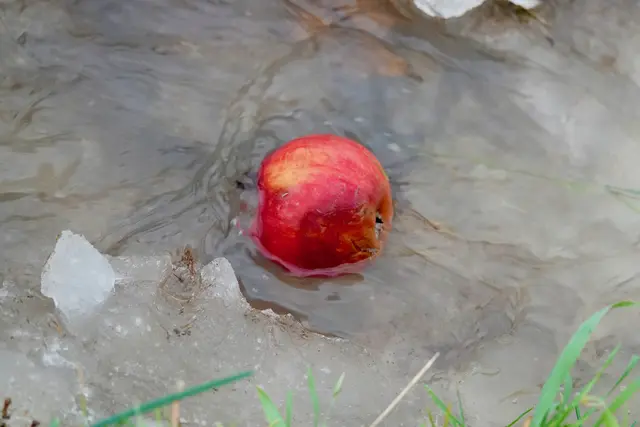Warum der Winterspaziergang mehr ist als nur kalte Füße.