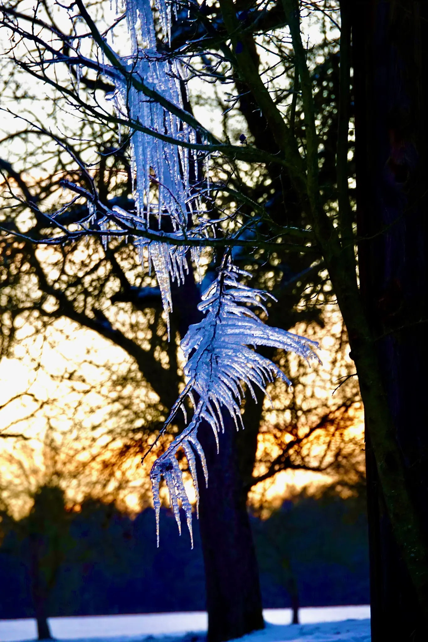 K-lte-Knirschen-Kinderlachen-