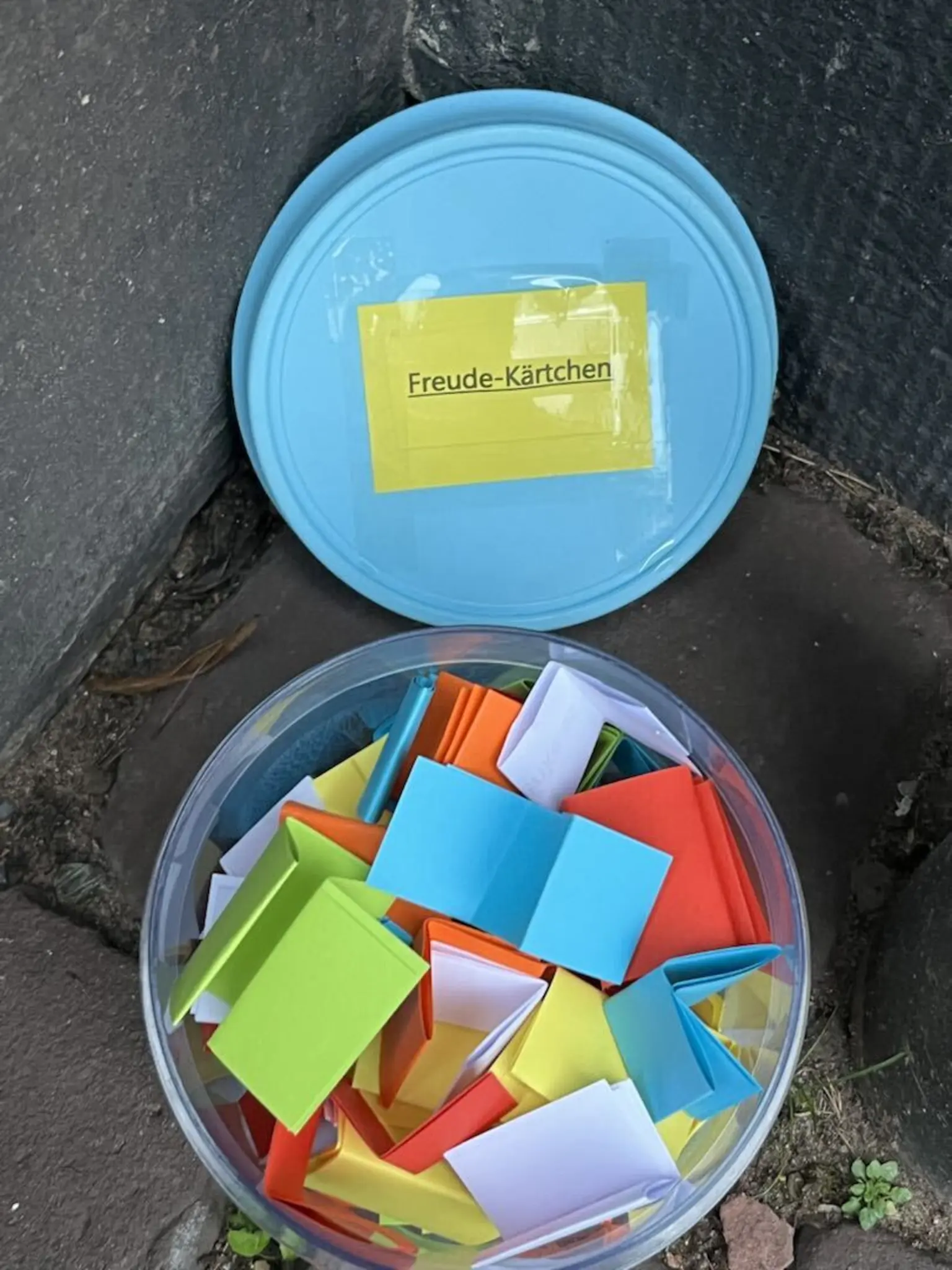 Gemeinsam-dem-Licht-entgegen