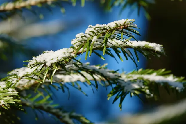 Noch ist der Winter nicht vorbei