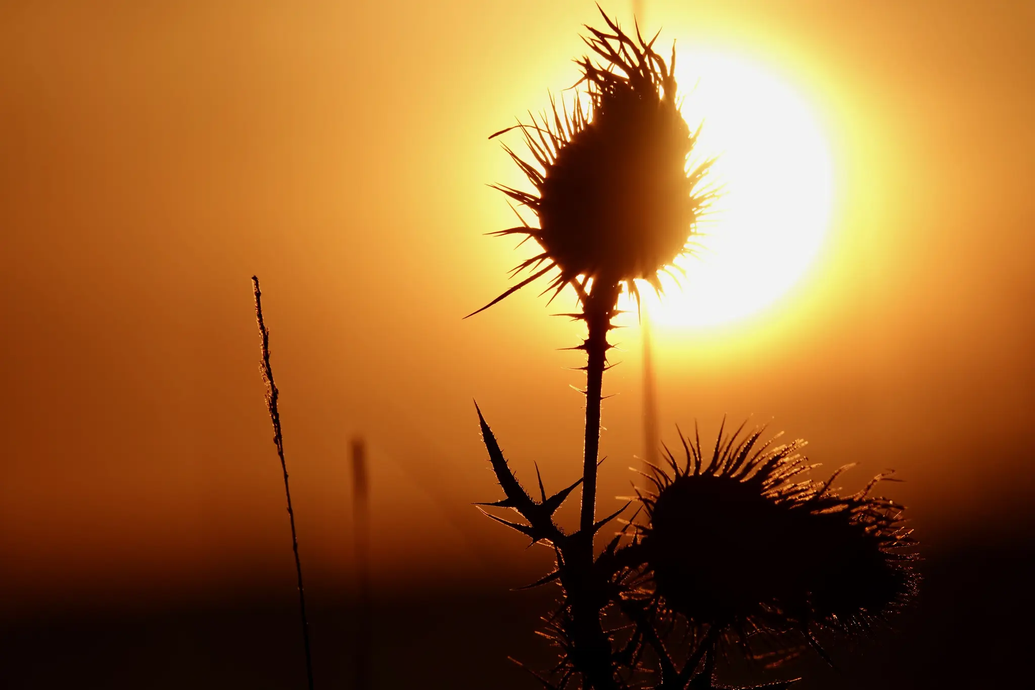 Freudenberg-im-Januar-Zwischen-winterlicher-Wehmut-und-einladender-Sonne-am-Main-