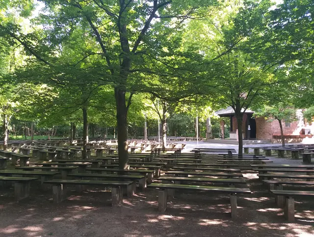 Die Liebfrauenheide | Foto: Günther Reichel