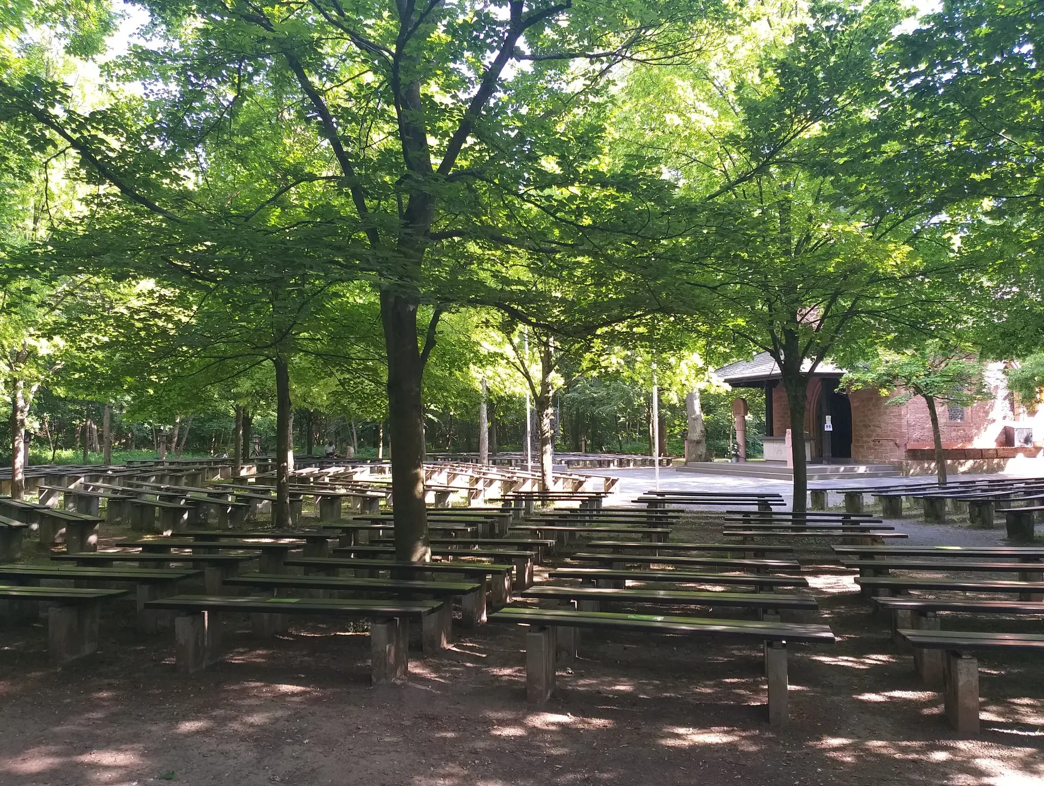 Nachmittagswanderung-zur-Liebfrauenheide-am-30-Januar