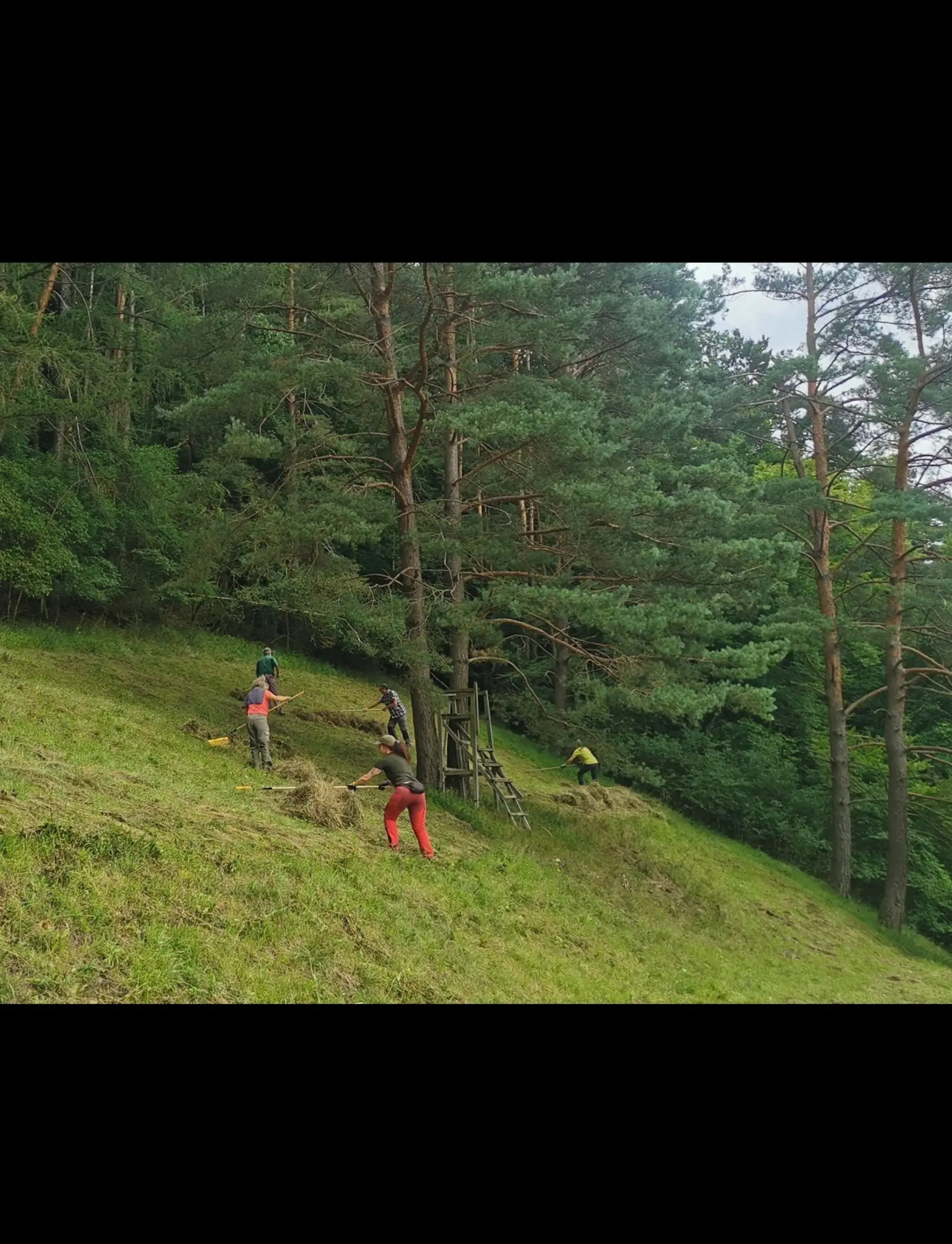 -Landschaft-anpacken-Weiterbildung-l-dt-zum-unverbindlichen-Einstieg-in-die-praktische-Landschaftspflege-ein