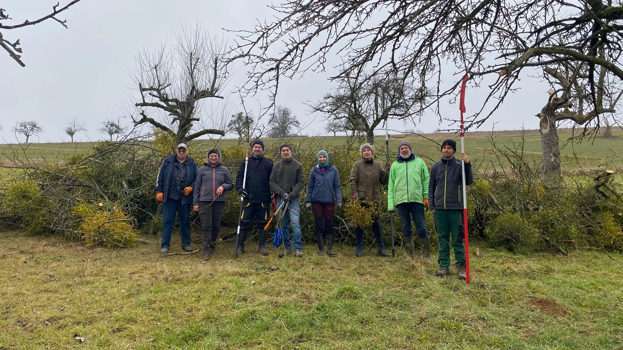 Erfolgreicher-Mistel-Aktionstag-des-LPV