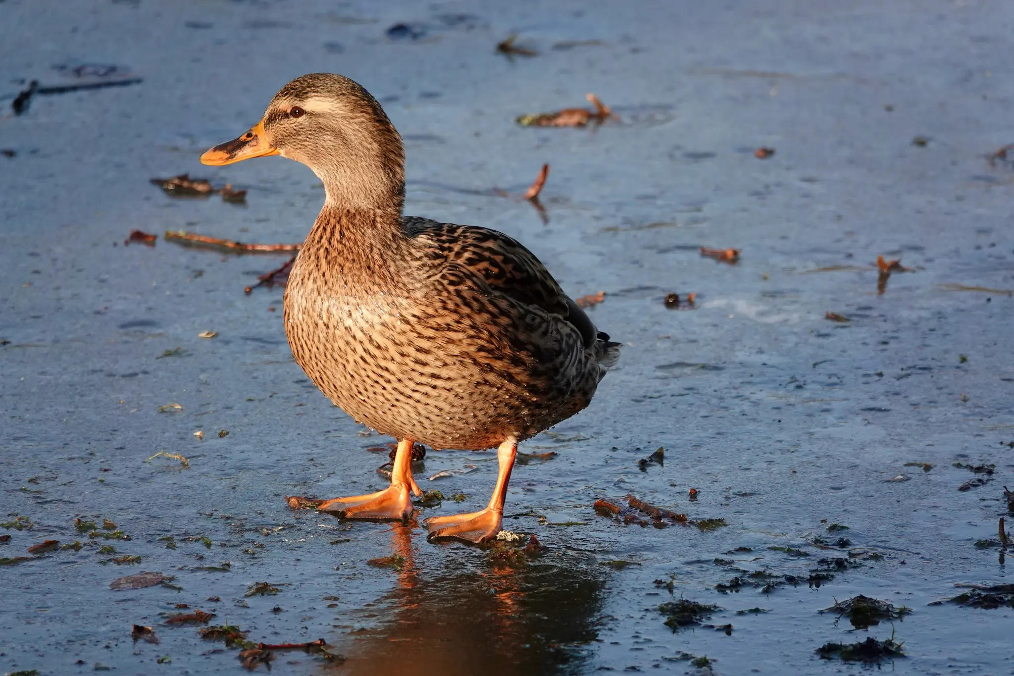 Die-H-lfte-liegt-schon-hinter-uns-