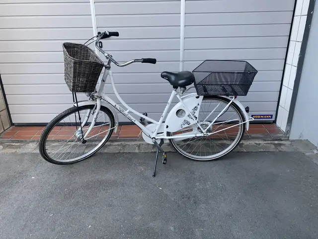 Fahrraddieb festgenommen - Zwei Fahrräder sichergestellt - Eigentümer gesucht | Foto: Polizei Unterfranken