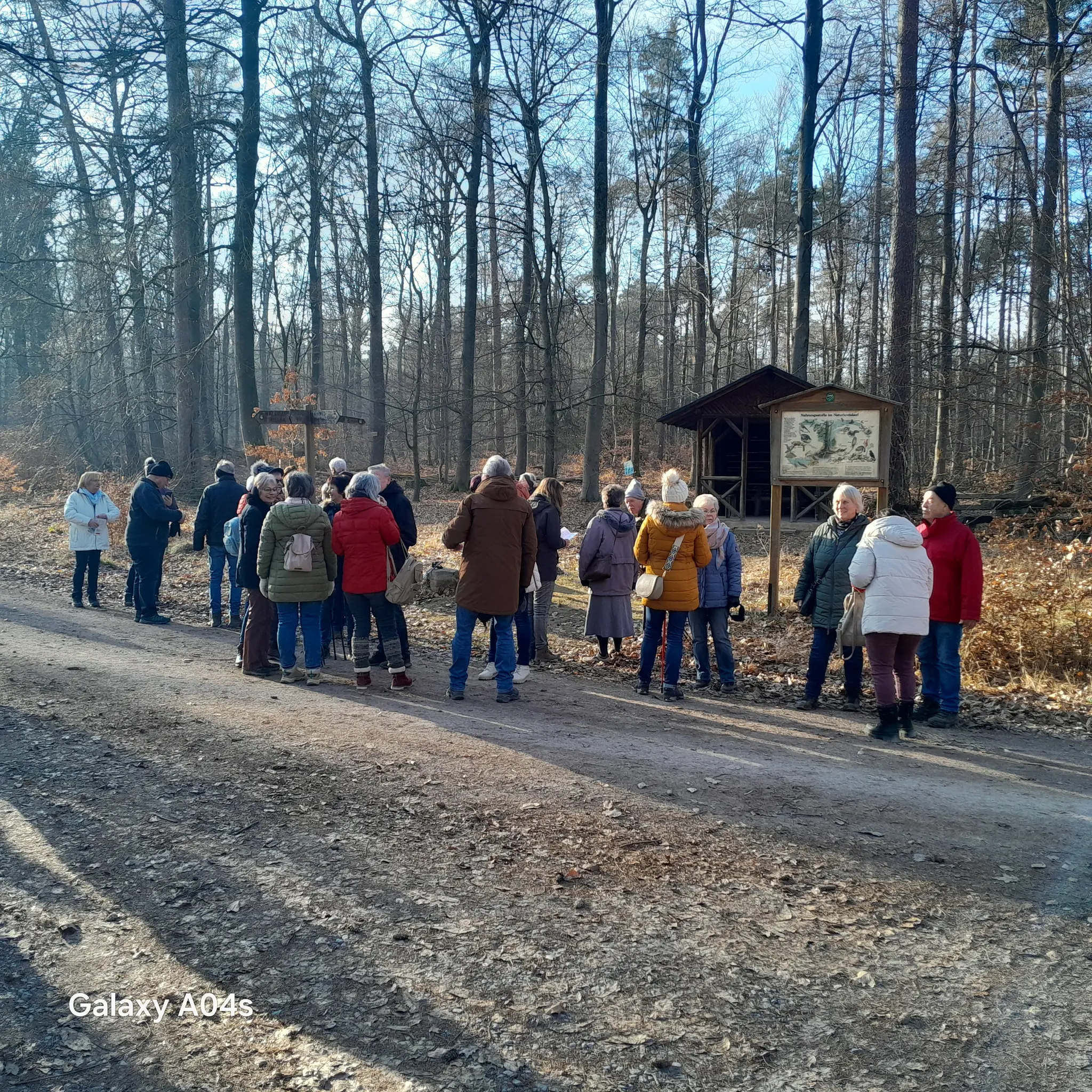 -ber-die-Karlsh-tte-zum-Waldhaus-Diana