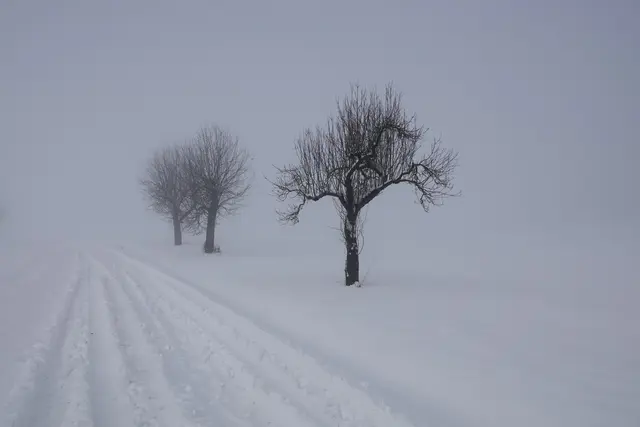 Der Schnee wirft das Licht zurück, dämpft den Laut, lädt ein zur Reflexion über das, was im Lärm des Alltags leicht überhört wird. 