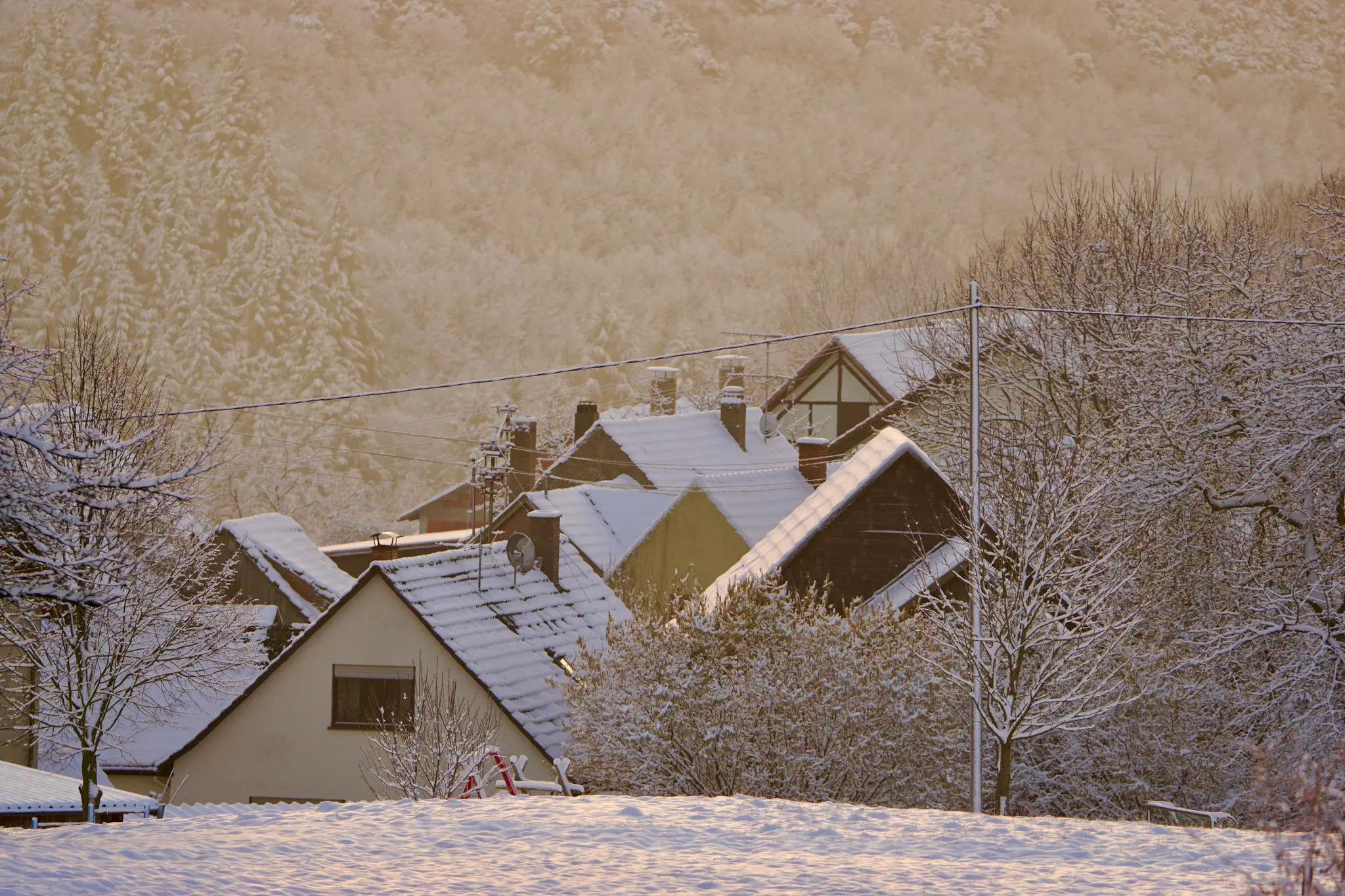 Schnee-Stille-Staunen-Unsere-Region-im-Winter-Wunderland-