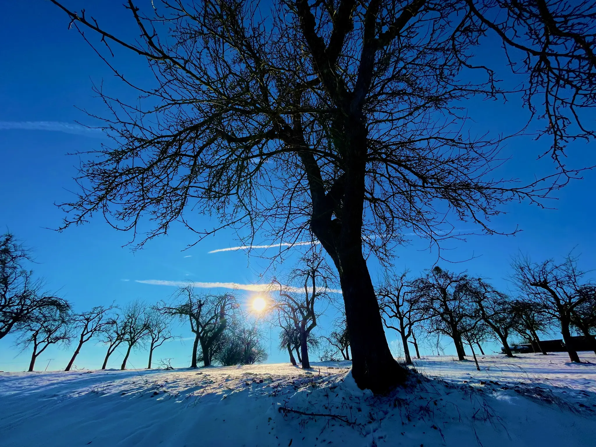 Februar-Start-mit-regionalen-Sagen-Br-uchen-und-Bauernweisheiten-