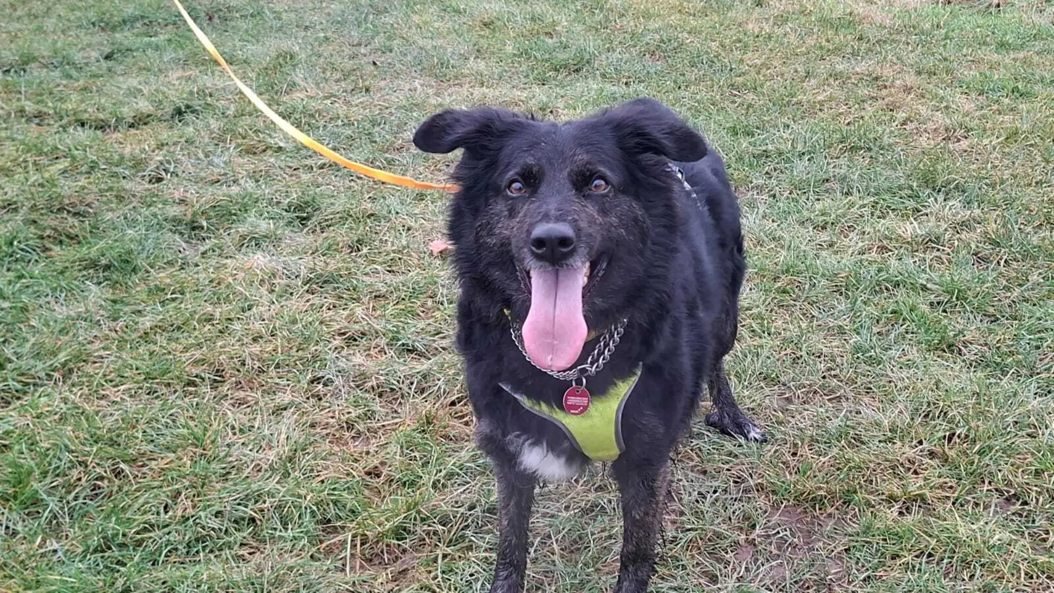 Mia-sucht-ein-Zuhause