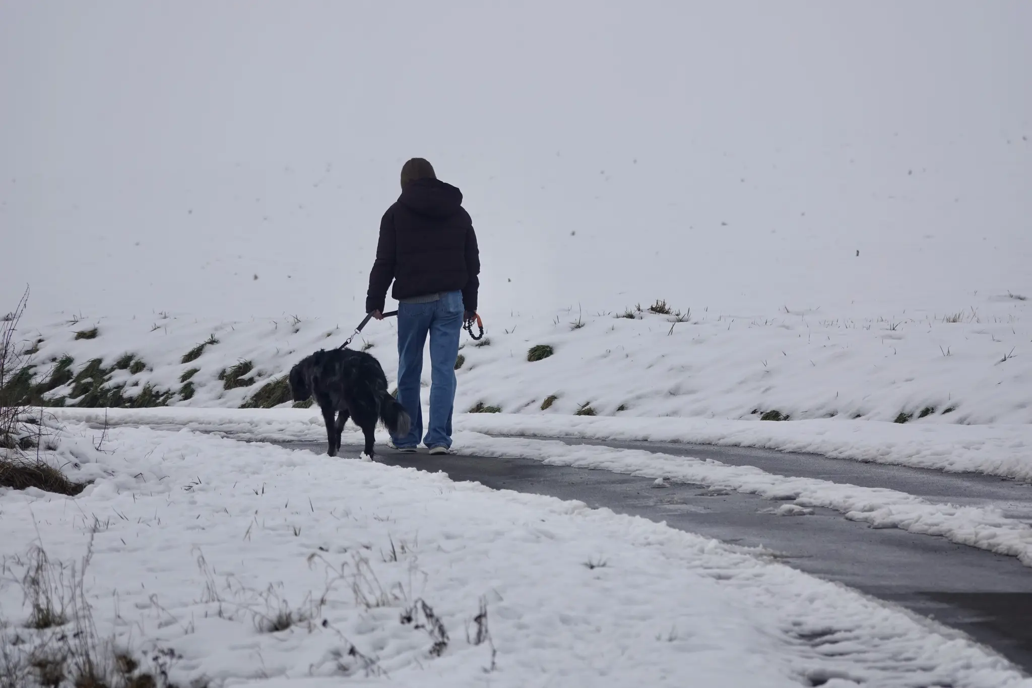 Der-Winter-als-stille-Wissenschaft-