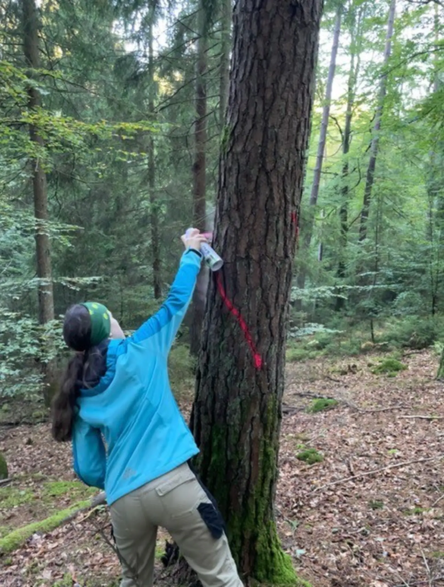 AELF-beteiligt-sich-am-Girls-Day