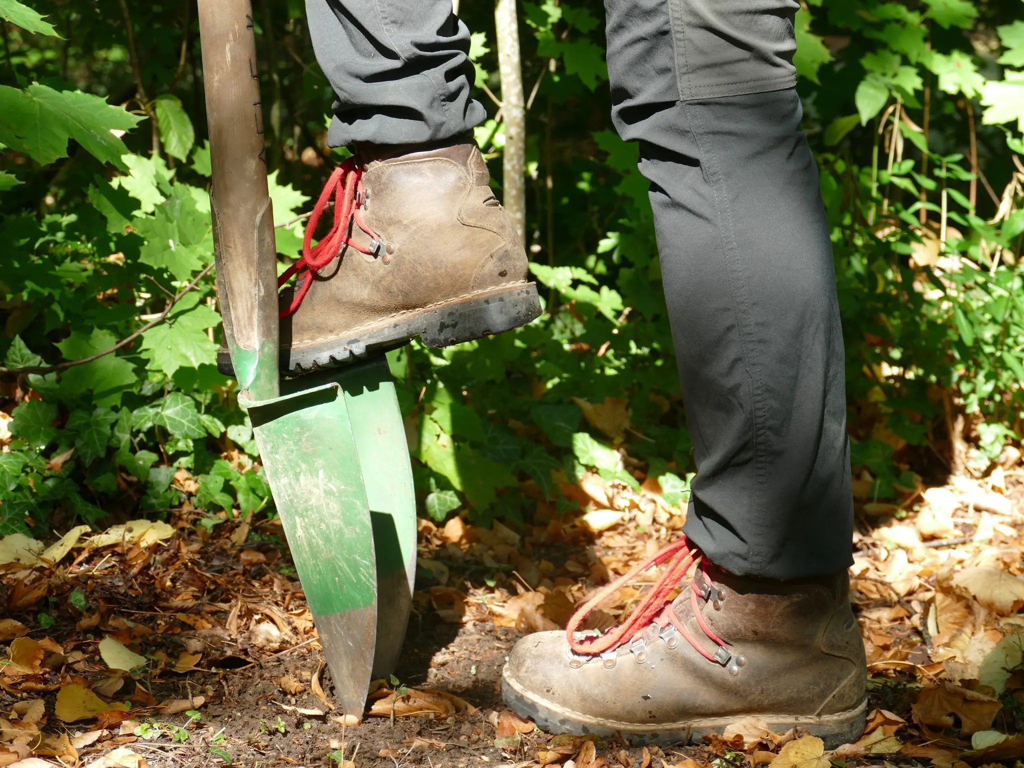 AELF-beteiligt-sich-am-Girls-Day