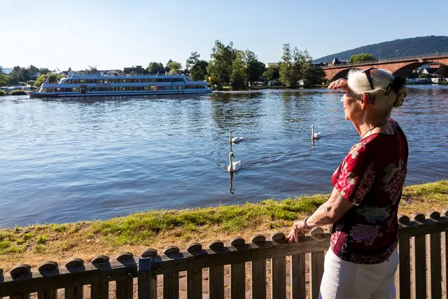 Blick auf die Lebensader Main | Foto: Fotoclub Miltenberg e. V.