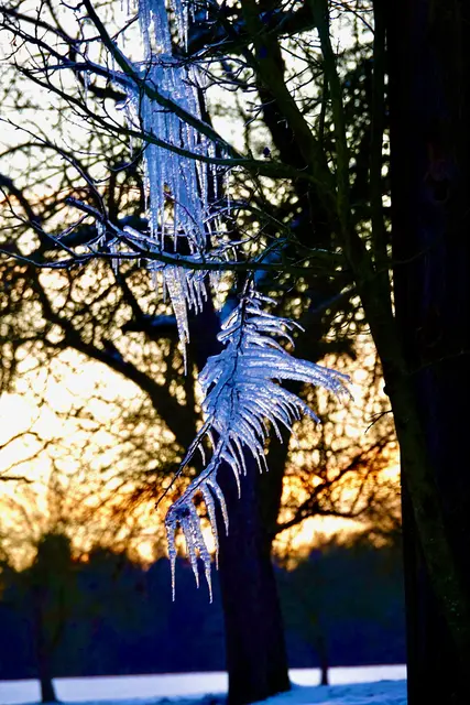 Während die Landschaften der hiesigen Regionen von der Kälte her noch winterlich wirken, beginnt innerlich bereits die Vorbereitung auf das Frühjahr.