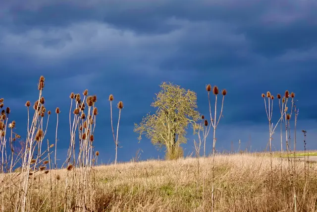 Februar-Szenerie bei Steinbach 