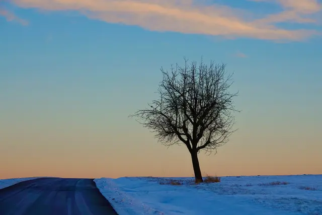 Ein leiser Auftakt für einen optimistischen Weg 

Der Aschermittwoch war kein Tag des Endes, sondern des Übergangs. Die Bräuche – vom Geldbeutelwaschen bis zum Heringsessen – schufen Vertrautheit und luden dazu ein, mit klarem Kopf und neuen Vorsätzen in die kommenden Wochen zu gehen. Viele Menschen formulierten an diesem Tag bewusst kleine Schritte: mehr Ruhe, mehr Ordnung, mehr Achtsamkeit. So wurde der Aschermittwoch zu einem leisen, aber wirkungsvollen Auftakt für einen optimistischen Weg in Richtung Frühling und Ostern. 