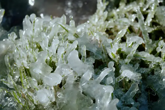 In diesem Jahr scheinen die Zeichen des Himmels zwiespältig: Während die Tage heller werden, hält sich das winterliche Grau hartnäckig. Frost und Tau wechseln sich ab, die Natur ringt um ihre Balance. Die Bauernregel wird zum Spiegel der Gegenwart; sie mahnt zur Geduld, lädt ein zum genauen Hinsehen und verbindet das Wissen vergangener Generationen mit den Herausforderungen des heutigen Klimas. 