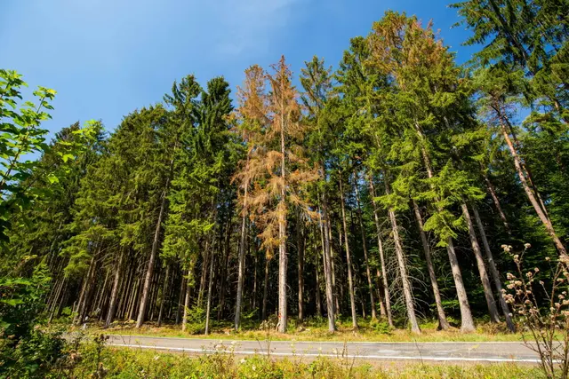 Foto: Landratsamt Neckar-Odenwald-Kreis