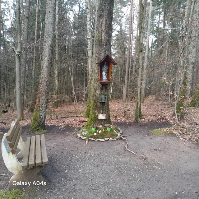 An der saubersten Stelle im Roßbacher Wald | Foto: Ferdinand Lang