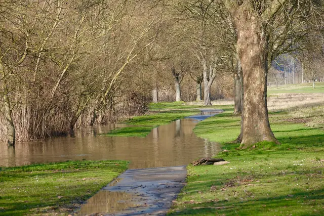 Hochwasser als veränderte Topografie

Die Uferwiesen liegen unter einem feinen Schleier aus Sand, den das Wasser abgelegt hat wie eine neue Haut. In den Strauchzonen hängen Laub, Schlick und kleine Äste – Spuren, die sachlich von der Kraft der vergangenen Tage erzählen. Die Bojen schaukeln ruhig und markieren jene Linie, an der die gewohnte Ordnung für kurze Zeit aufgehoben ist. Radwege sind teilweise unpassierbar, überzogen von schlammigen Zungen, die den Asphalt zurückerobert haben. Die Landschaft wirkt nicht beschädigt, sondern neu arrangiert.