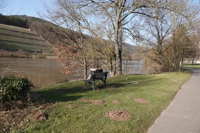 Ein Fluss im Übergang – ein Tag, der Landschaft und Menschen gleichermaßen neu sortiert.

Es ist der vorletzte Februartag 2026, gegen 14 Uhr, 16 Grad warm. Die Sonne scheint mit einer fast frühlingshaften Klarheit, während der Fluss eine andere Sprache spricht. Das Hochwasser hat die Uferregion neu gezeichnet, Wege verschoben, Flächen überformt. Was bleibt, ist eine Landschaft im Übergang – ein Moment, der Naturbeobachtung und Alltagsstimmen eng miteinander verwebt.