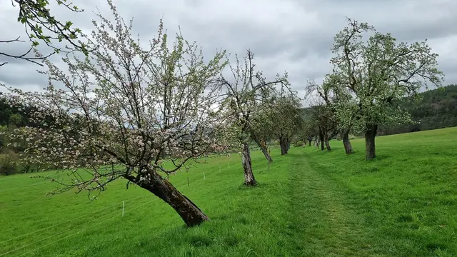 Foto: © Armin Rudolf