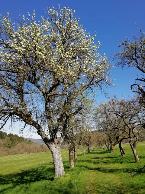 Foto: © Armin Rudolf