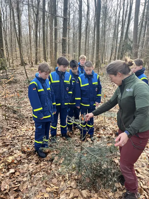 Unter fachkundiger Anleitung wurde der Aufbau des Waldes erklärt. | Foto: THW Miltenberg 