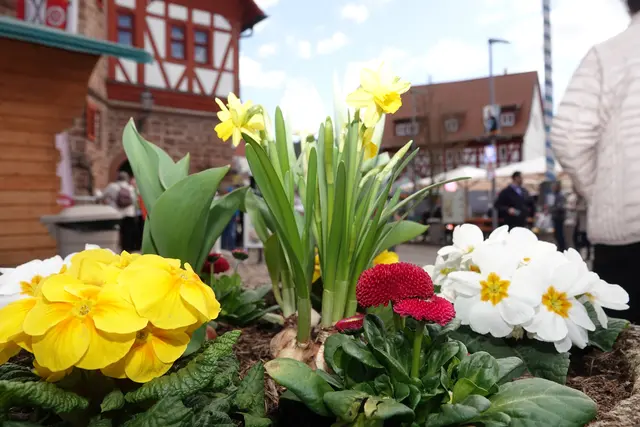 Kreativ‑ und Hobbymärkte sind nach dem Winter mehr als Veranstaltungen – sie sind der inoffizielle Startschuss in die warme Jahreszeit. Hier tanken Menschen Farbe, Freude und ein bisschen Mut für neue Projekte. Und manchmal gehen sie mit mehr nach Hause, als sie geplant hatten. Vor allem mit Geschichten.