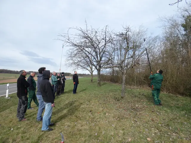 Foto: Sabine Schork, Landschaftserhaltungsverband Neckar-Odenwald-Kreis e.V.