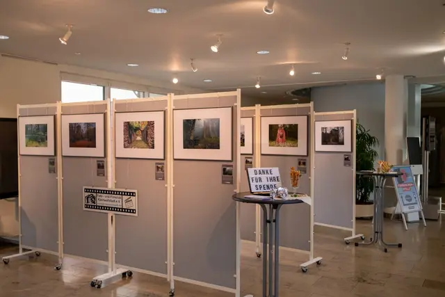 Die Ausstellung | Foto: Michael Stenger