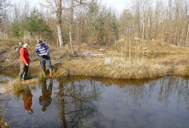 Biologin Kim Fasse und Revierleiter Gregor Wobschall bei der Zählung der Laichballen. | Foto: Frauke Beck